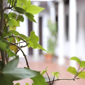 https://home-granada-columnas.es-andalucia.com